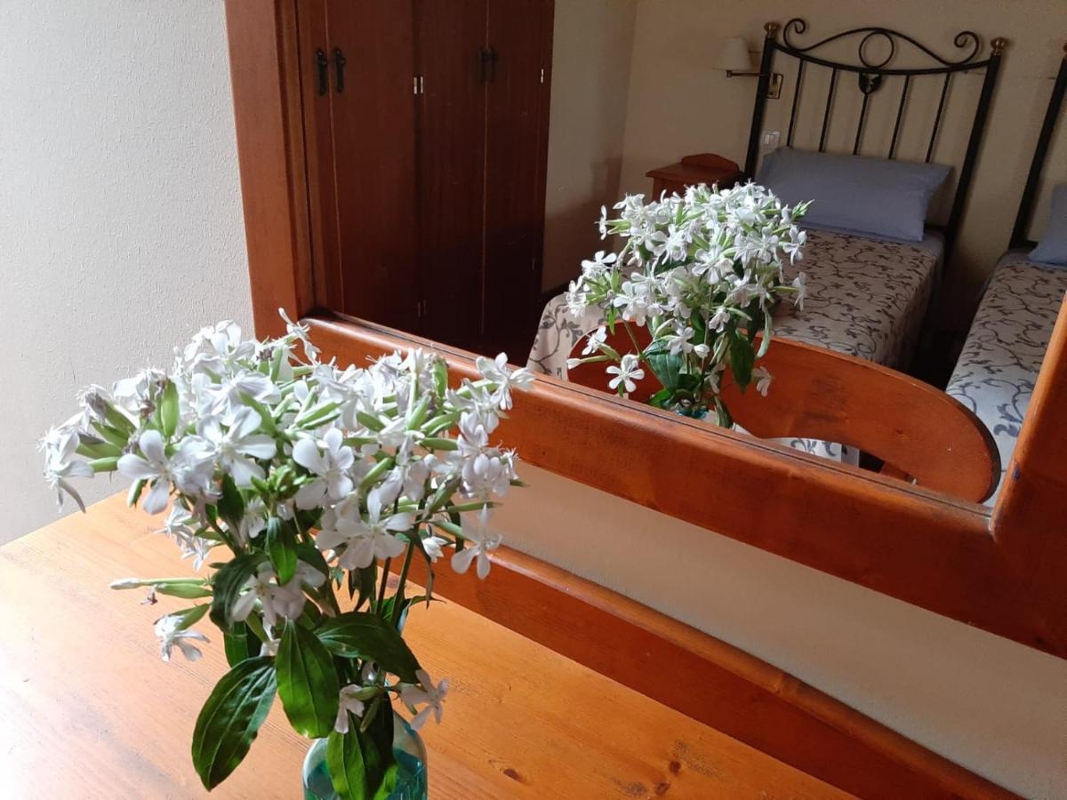 Acea Do Bubal Guest House Ourense Bagian luar foto